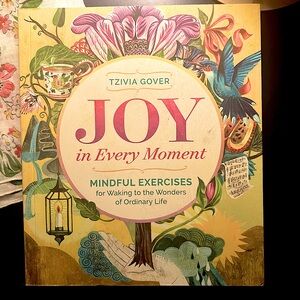 Joy in Every Moment: Mindful Exercises for Waking to Wonders of Ordinary Life